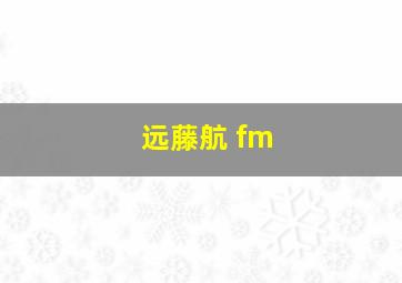 远藤航 fm